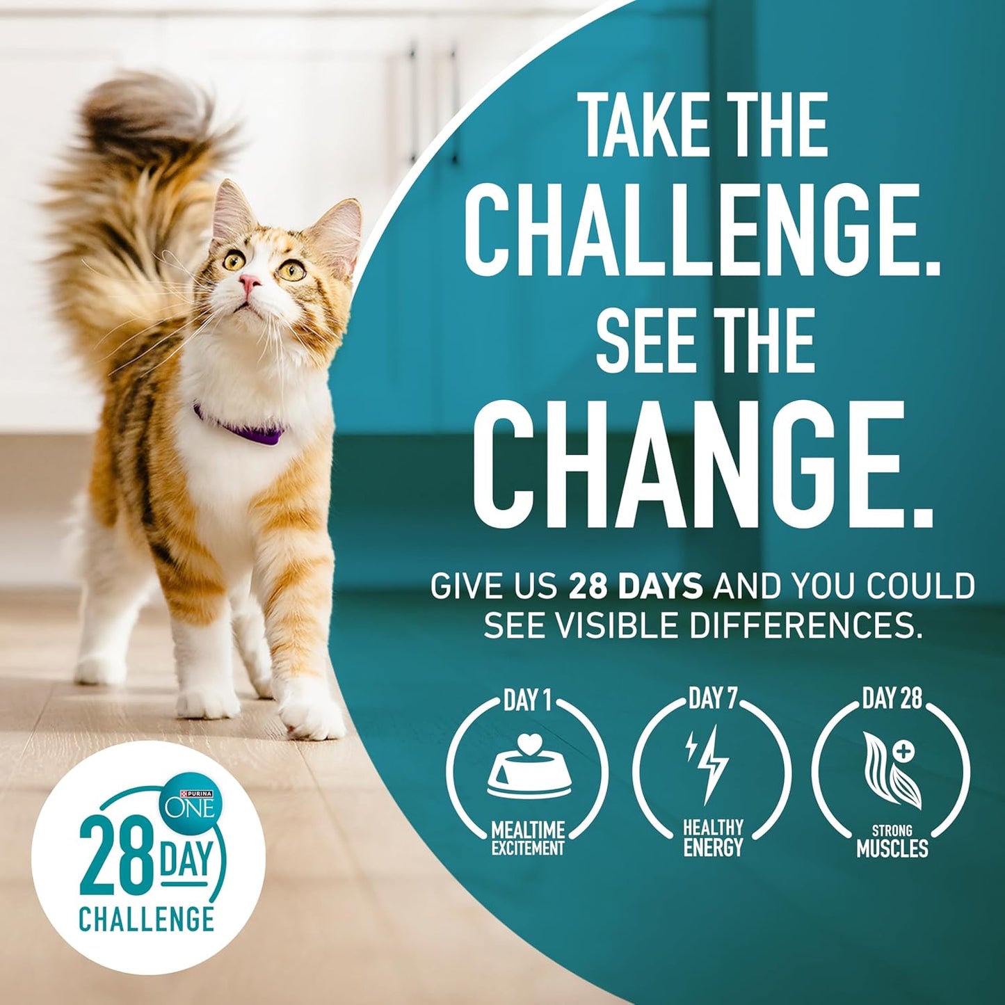 Purina ONE Comida seca natural para gatos, mezcla Tender Selects co...