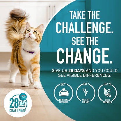 Purina ONE Comida seca natural para gatos, mezcla Tender Selects co...