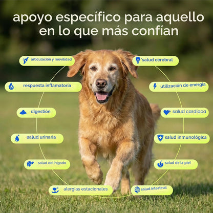 Native Pet Vitaminas y suplementos diarios para perros mayores \u20...
