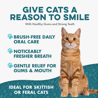 Remedio para el mal aliento y la salud oral de los gatos, cuidado d...