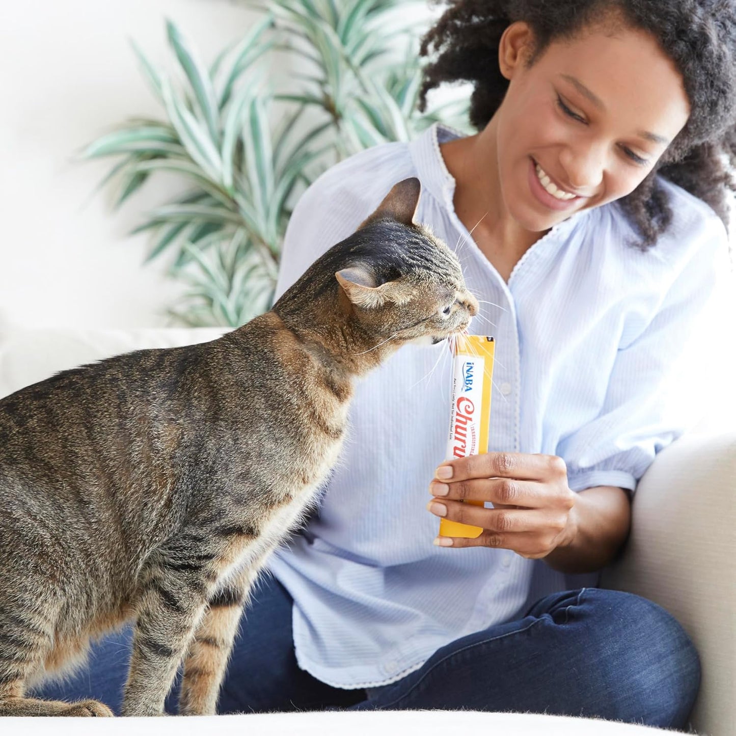 INABA - Golosinas Churu para gatos, puré cremoso para gatos, sin ce...