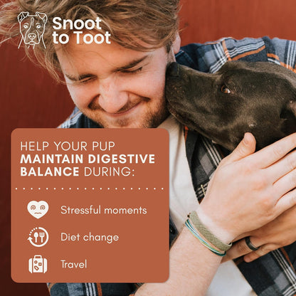 Snoot to Toot Probióticos para perros con prebióticos, enzimas dige...
