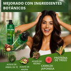Juego de champú y acondicionador de árbol de té, sin sulfato, cuida...