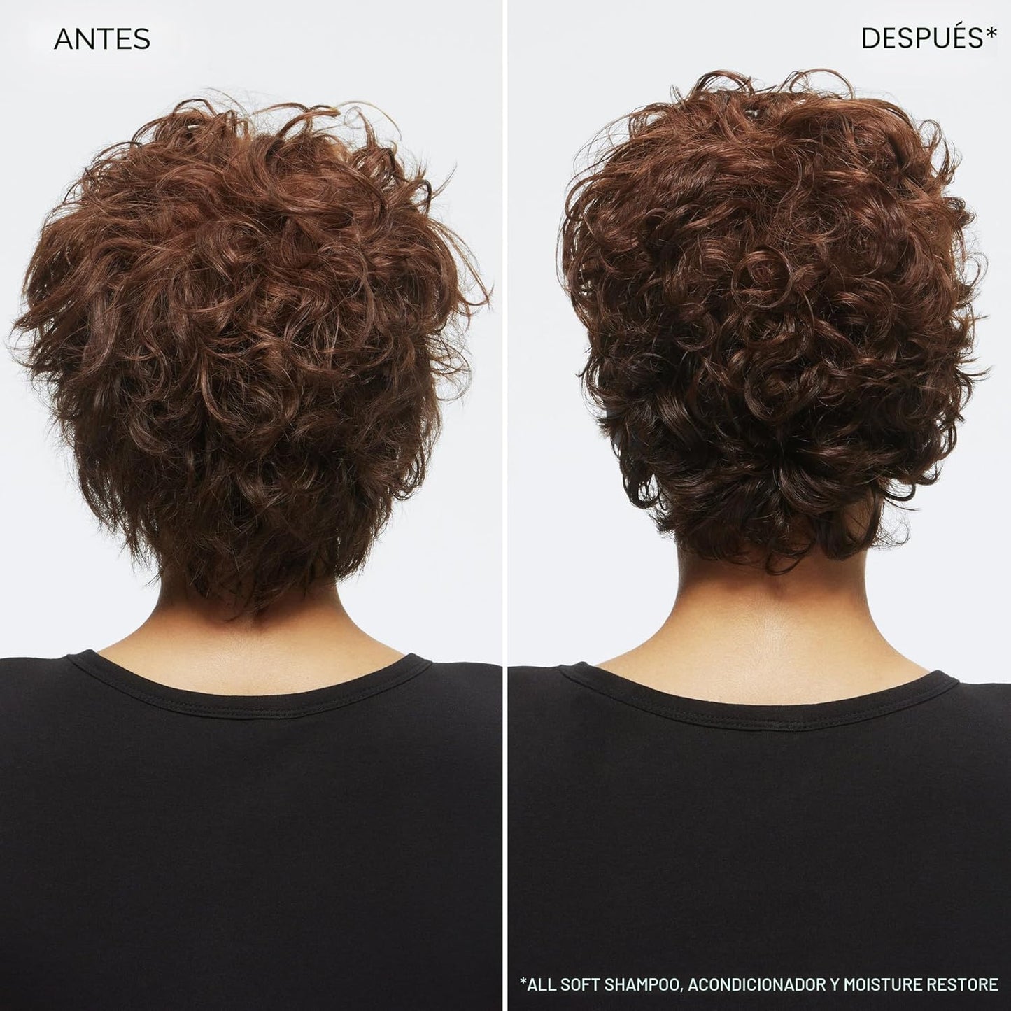 Redken All Soft Shampoo - Hidrata y nutre el cabello seco y quebrad...