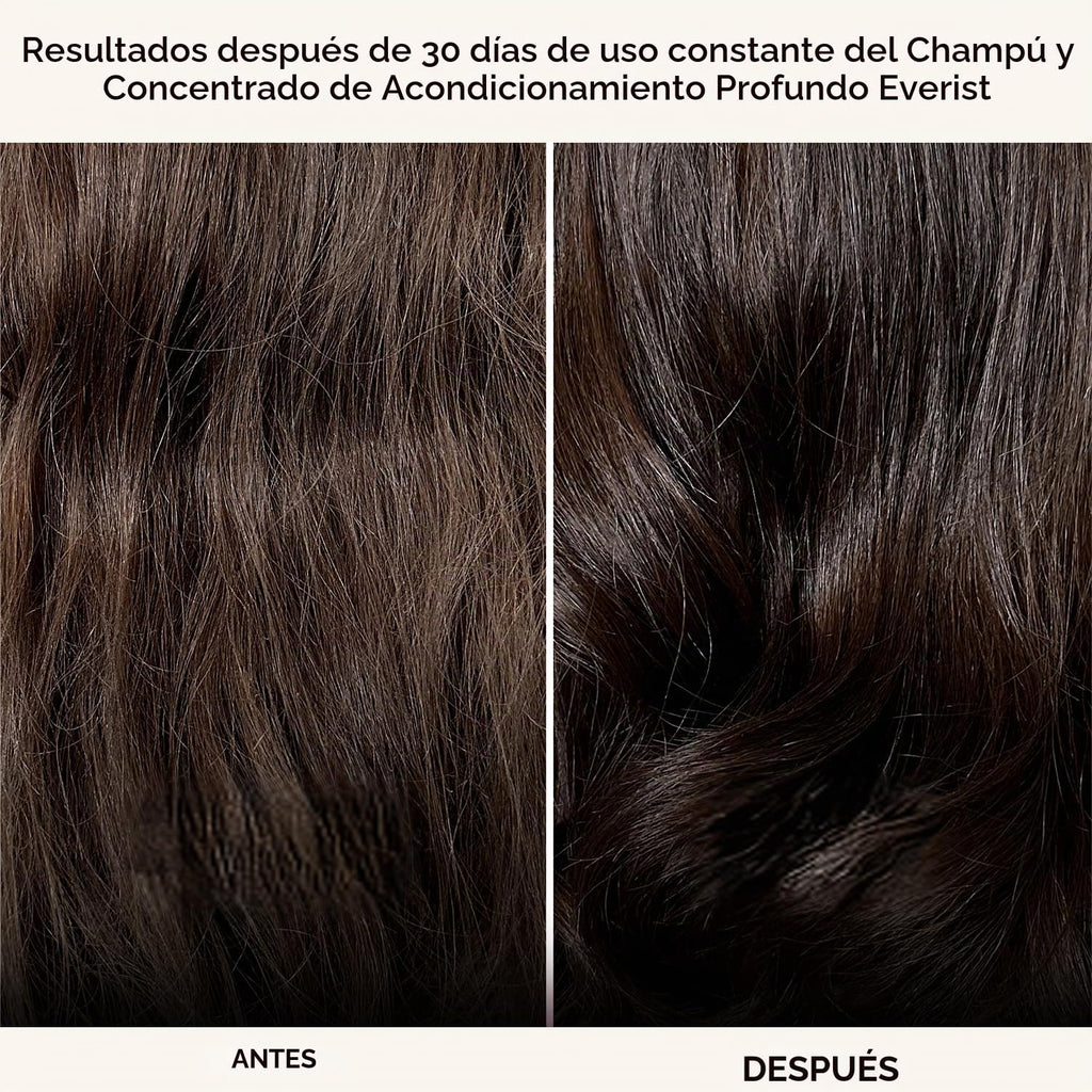 Everist Haircare Meets Skincare Set Champú y acondicionador profund...