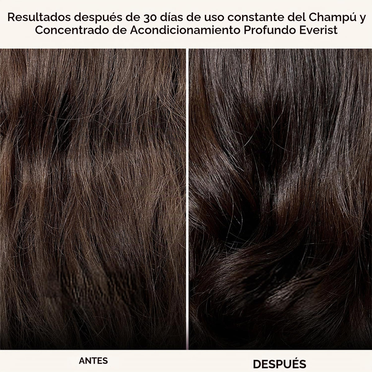 Everist Haircare Essentials Duo | Champú y acondicionador profundo...
