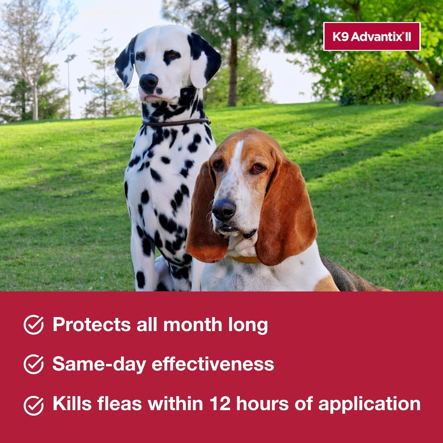 K9 Advantix II - Tratamiento y prevención veterinario recomendado p...
