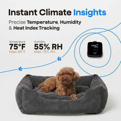 Waggle Monitor de temperatura para mascotas 4G (Lite) - No necesita...