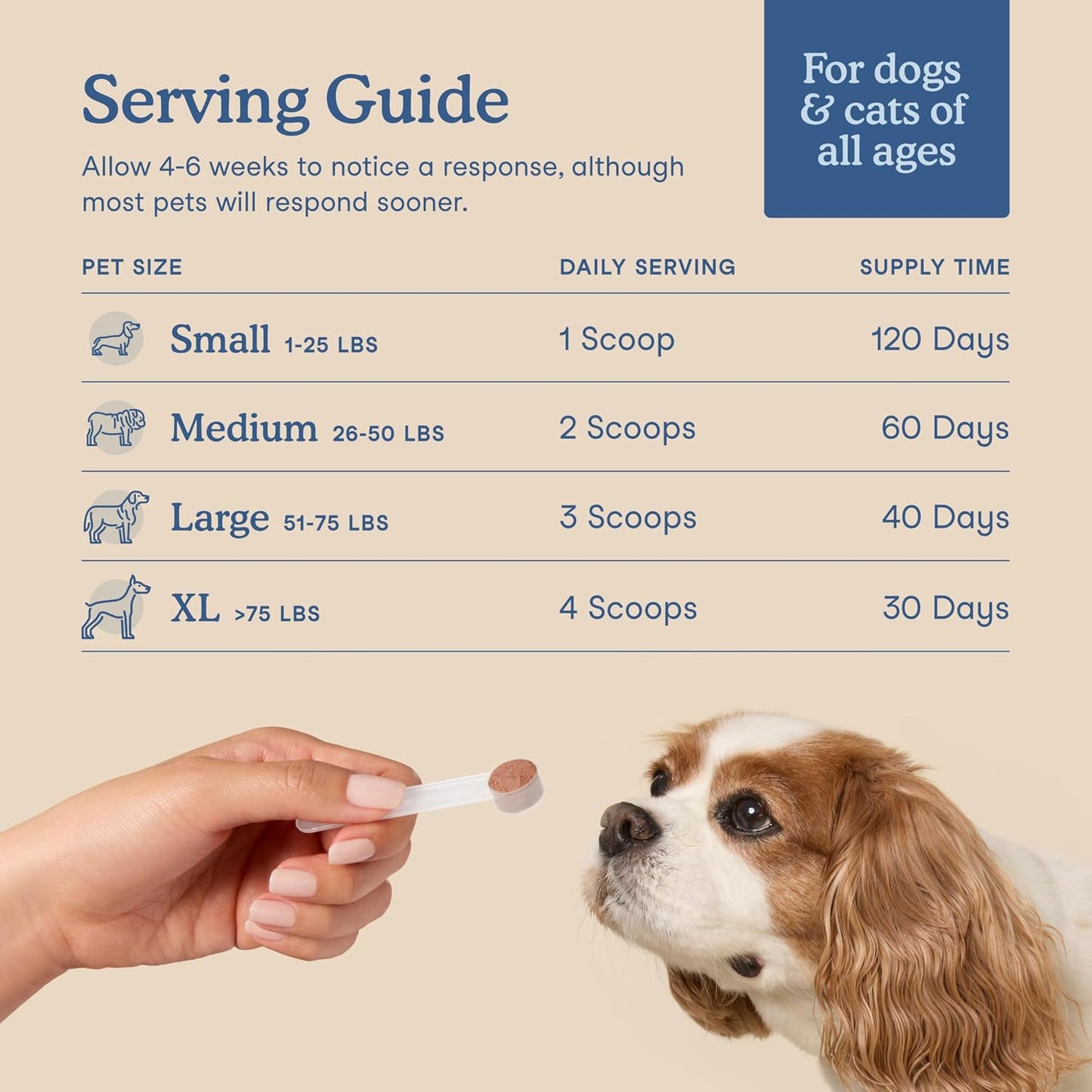 Fera Pets Postbiotics Plus Prebióticos para perros y gatos - con ol...