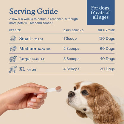 Fera Pets Postbiotics Plus Prebióticos para perros y gatos - con ol...