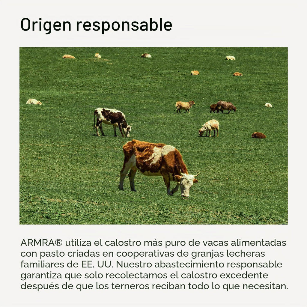 ARMRA - Polvo de calostro, sin sabor, 30 palitos de viaje para serv...