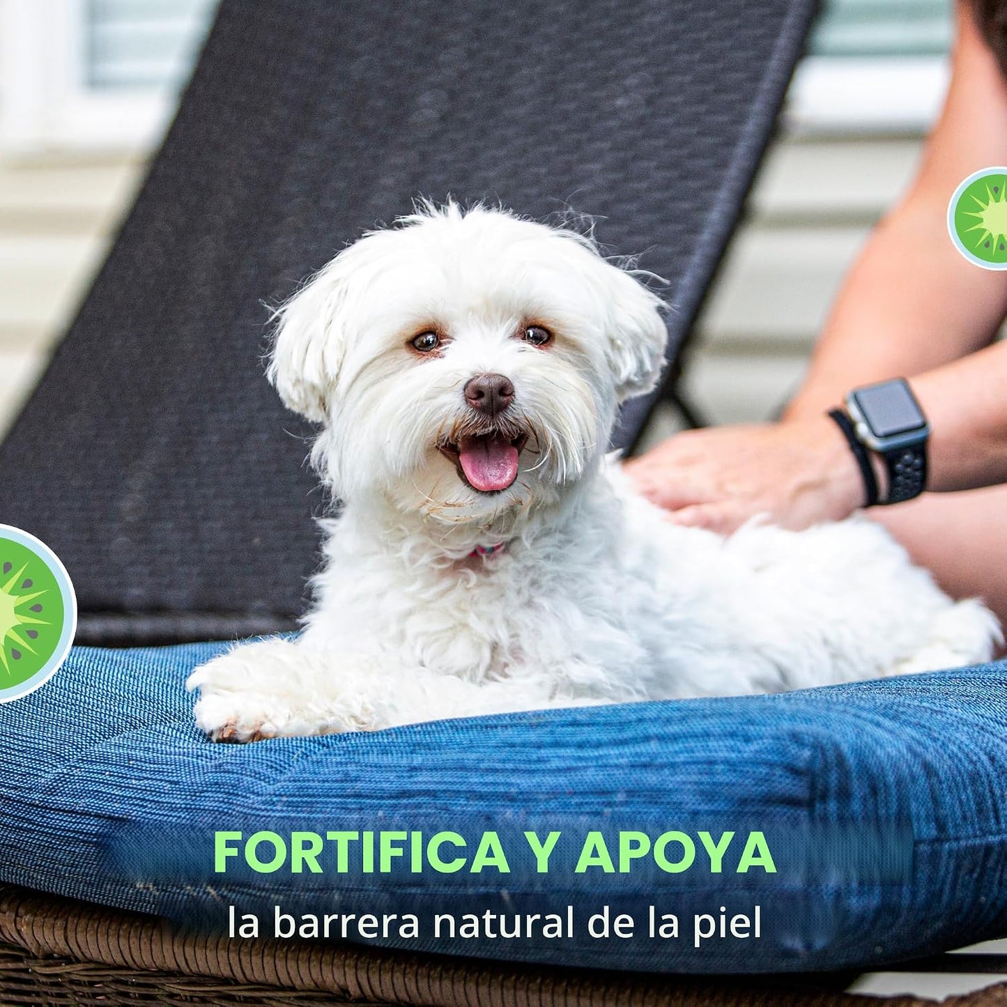 Nutramax Dermaquin Suplemento de Apoyo para la Piel para Perros y G...