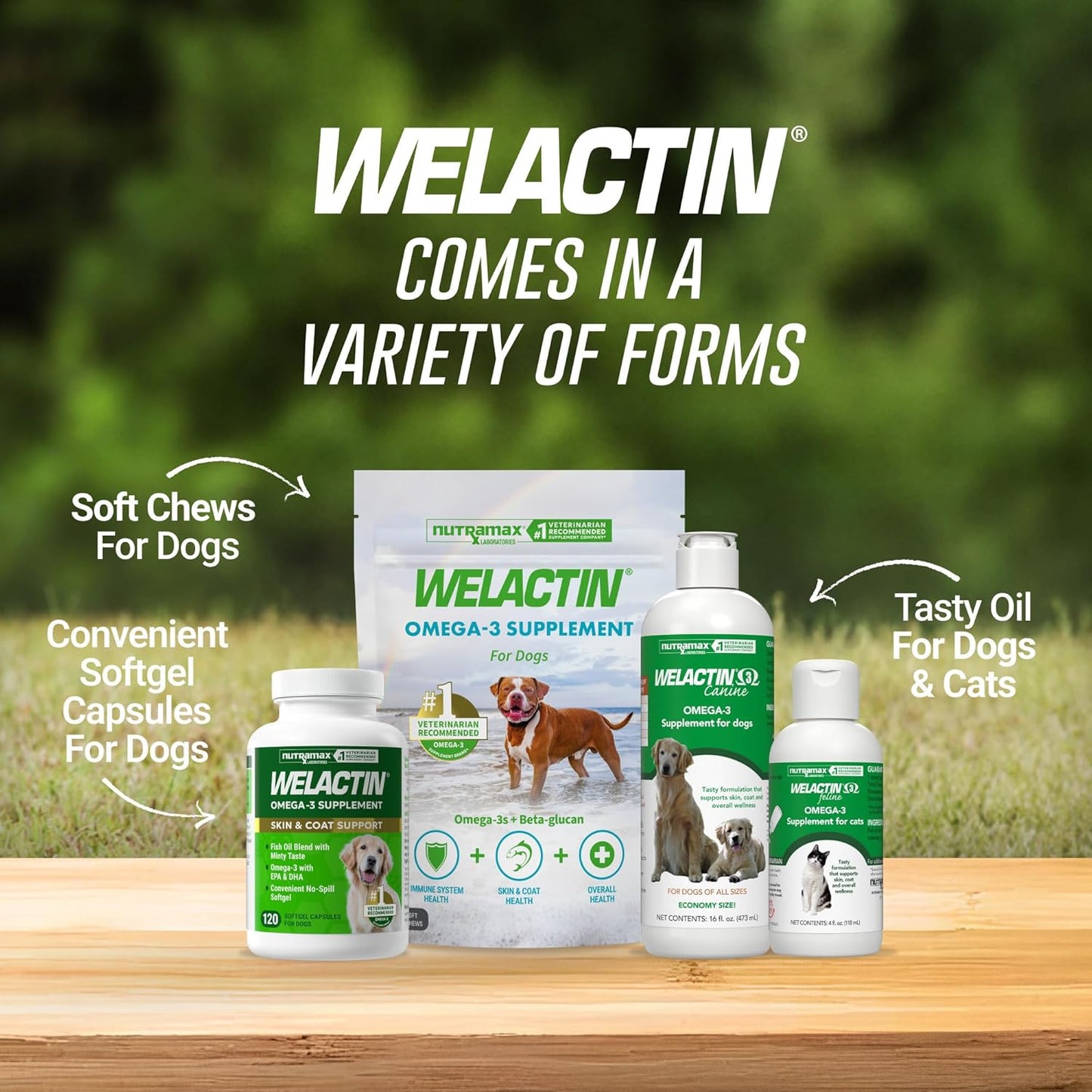 Nutramax Welactin Canine Softgel Cápsulas