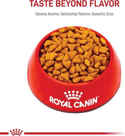 Comida seca para gatos adultos de interior Nutrición para la salud...