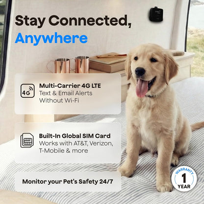 Waggle Monitor de temperatura para mascotas 4G (Lite) - No necesita...