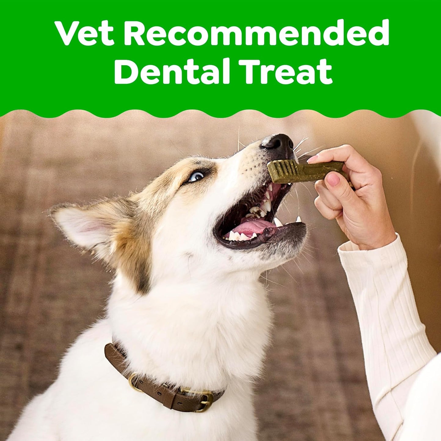 Greenies Golosinas dentales naturales para perros adultos recomenda...