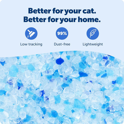 PetSafe ScoopFree Arena de Cristal Premium para Gatos - Supera a la...
