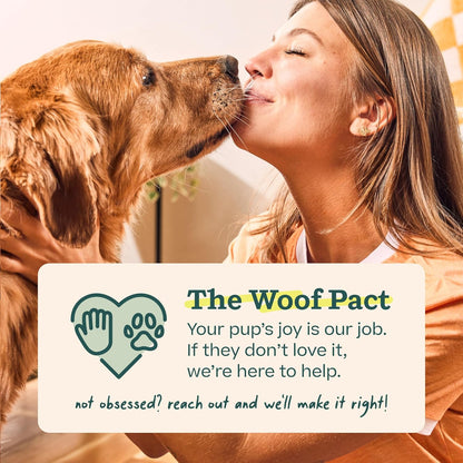 WOOF - Recambios de Morder y Cepillar para el Juguete Cepillo de Di...