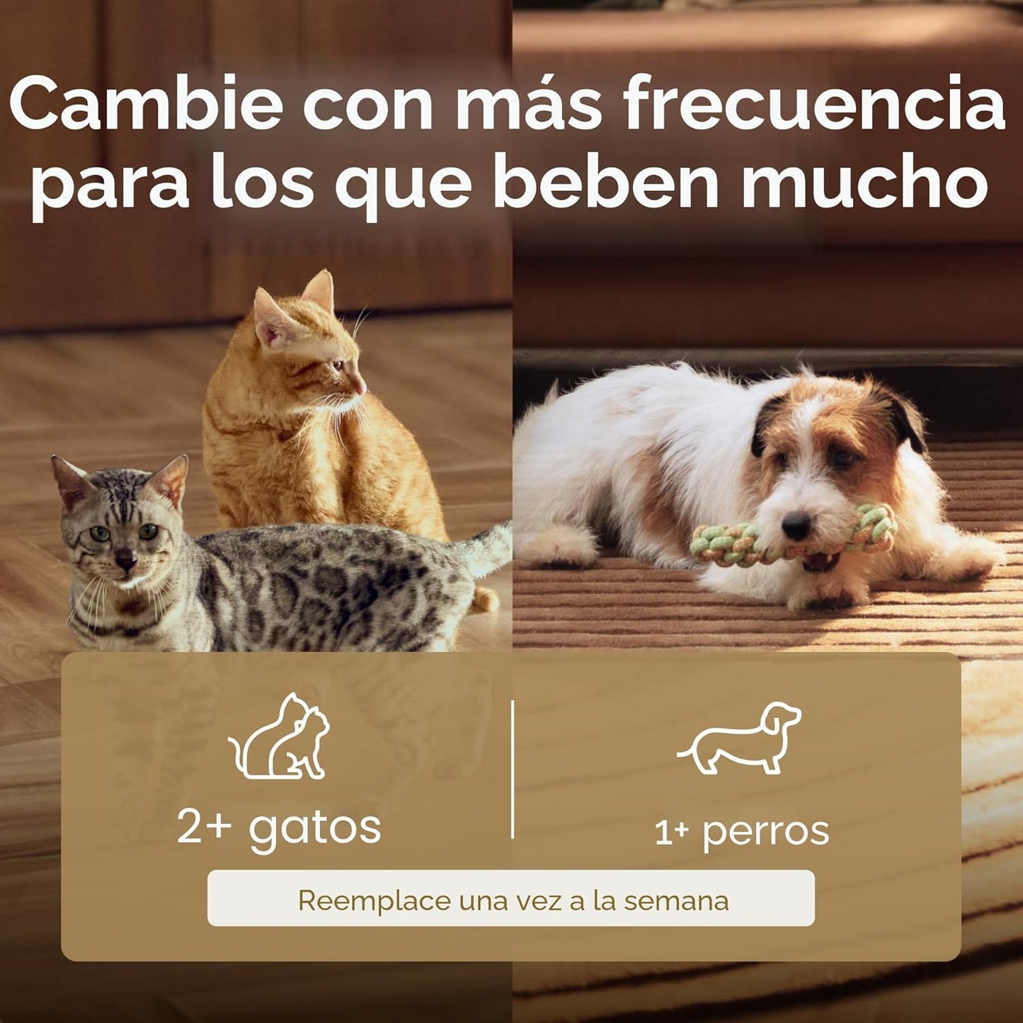 PETLIBRO Filtro de Fuente de Agua para Gatos, 4 Paquetes de Filtro...