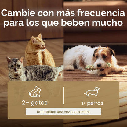 PETLIBRO Filtro de Fuente de Agua para Gatos, 4 Paquetes de Filtro...