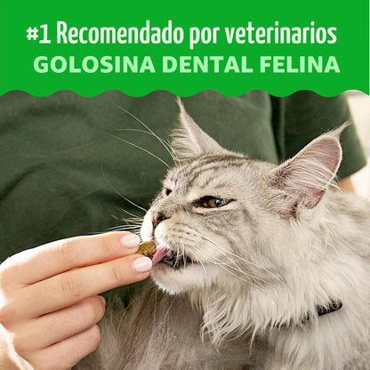Greenies Golosinas para gatos, golosinas dentales naturales para ga...