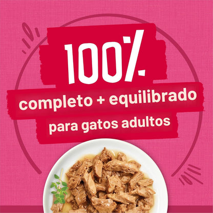 Purina Friskies - Paquete variado de alimentos húmedos en salsa par...