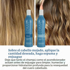 Loma Hair Care Dúo de champú y tratamiento hidratante