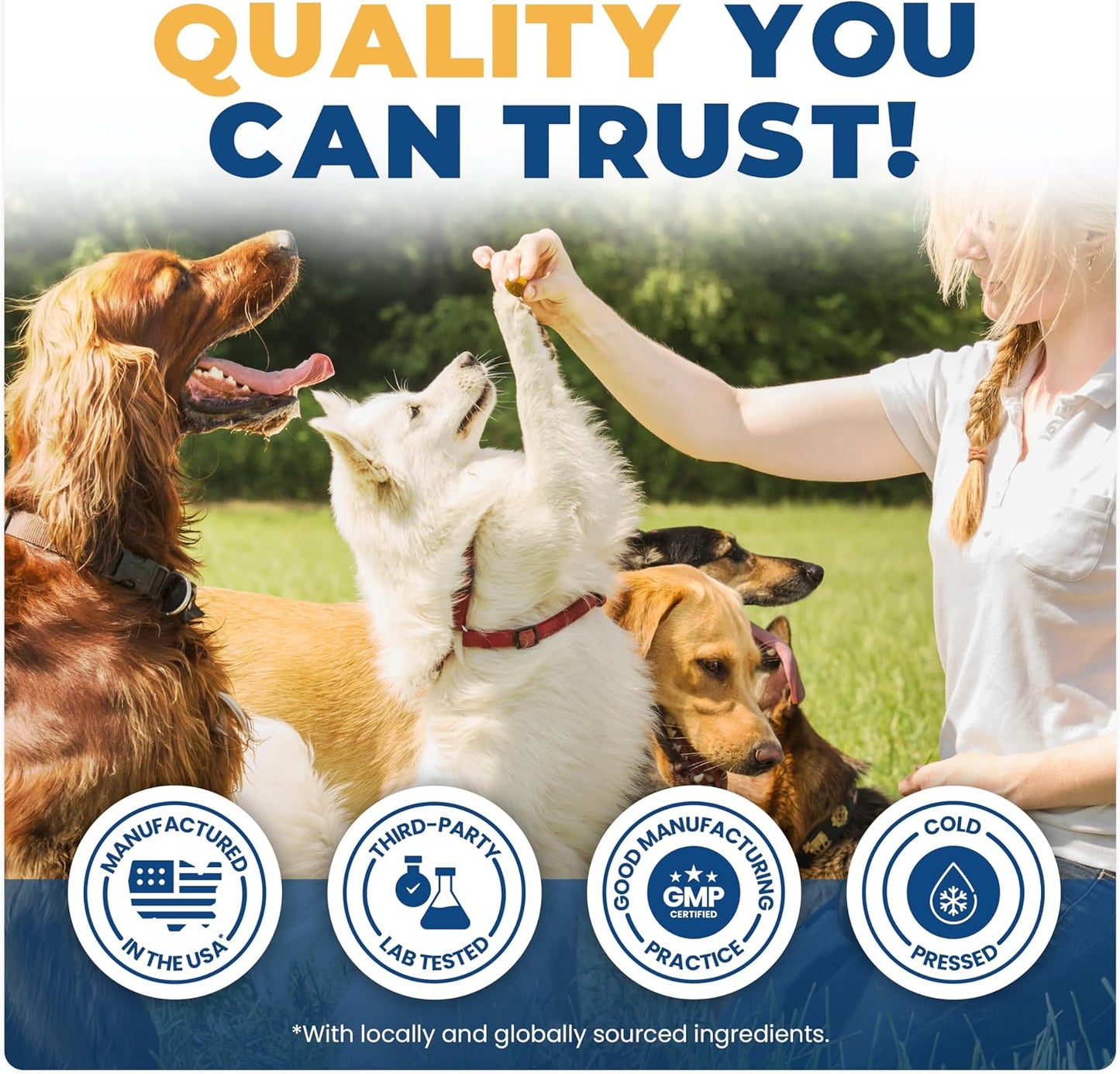 Jope Suplemento de cadera y articulaciones para perros grandes, med...