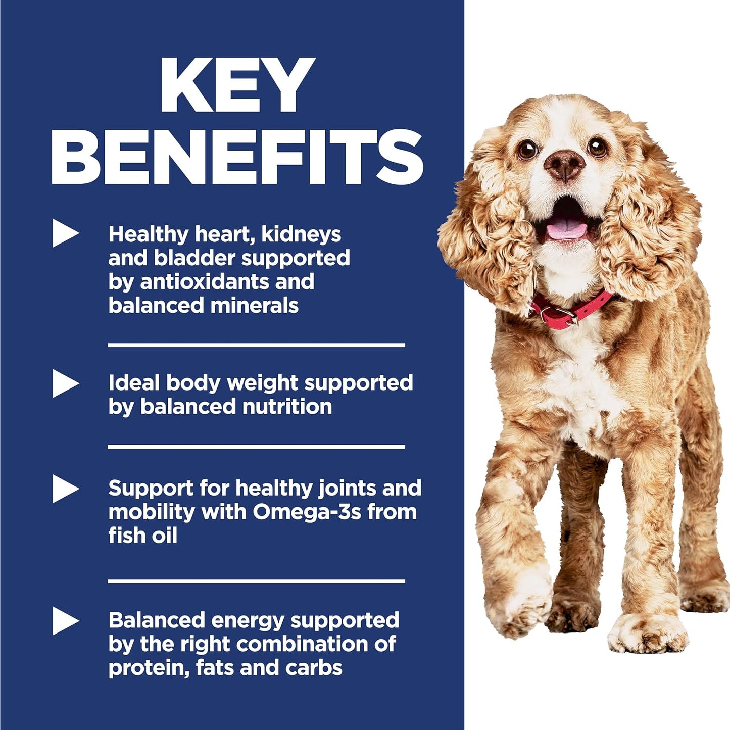 Alimentos secos para perros de raza pequeña y mini, de Hill\u2019s...