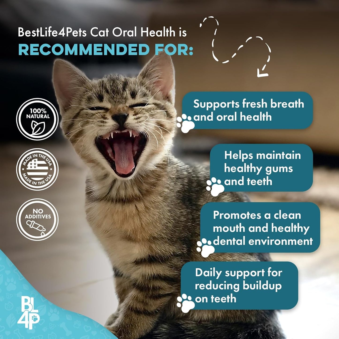 Remedio para el mal aliento y la salud oral de los gatos, cuidado d...