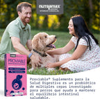 Nutramax Proviable Probióticos para Perros, Kit de Apoyo para la Di...