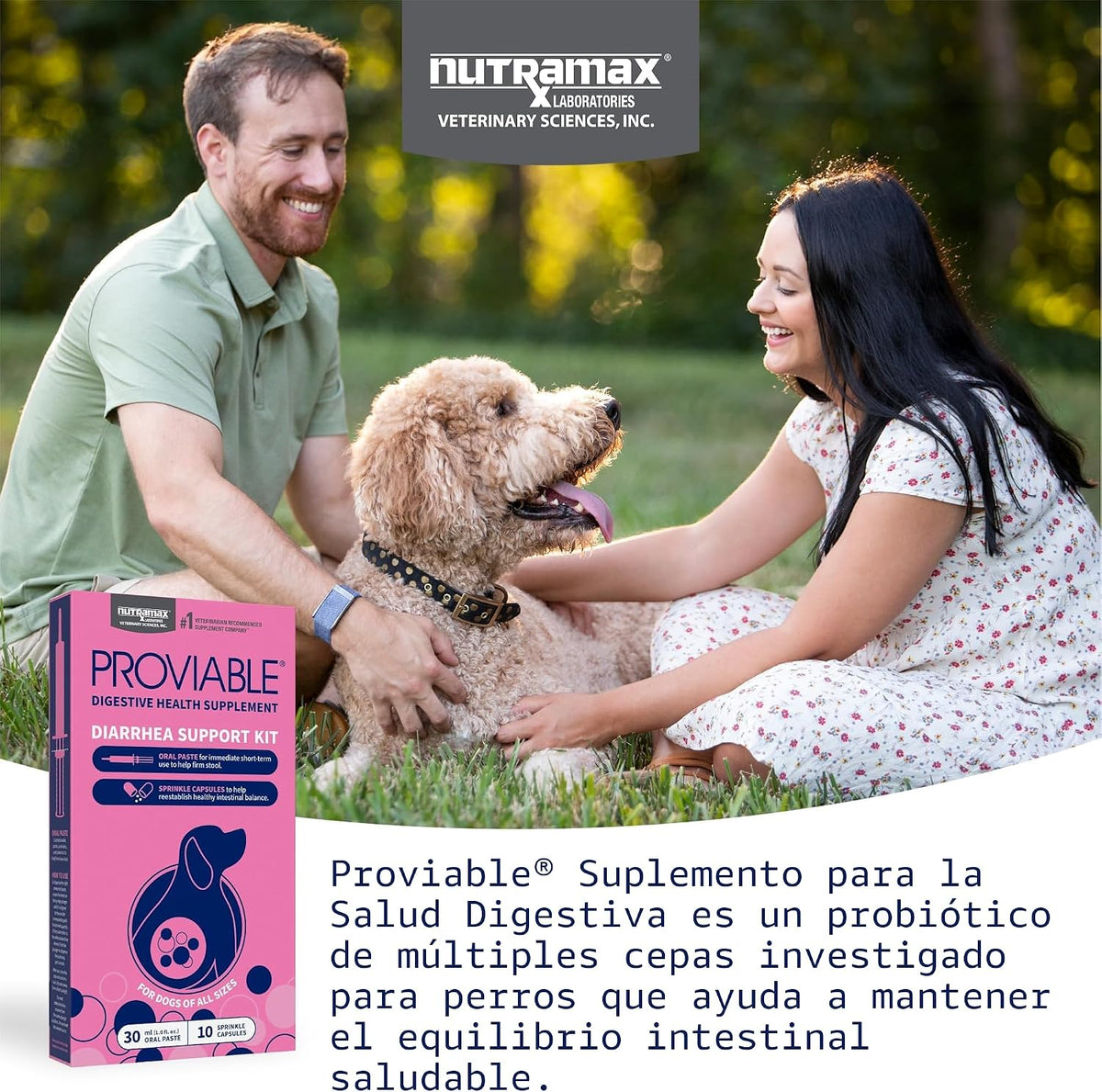 Nutramax Proviable Probióticos para Perros, Kit de Apoyo para la Di...
