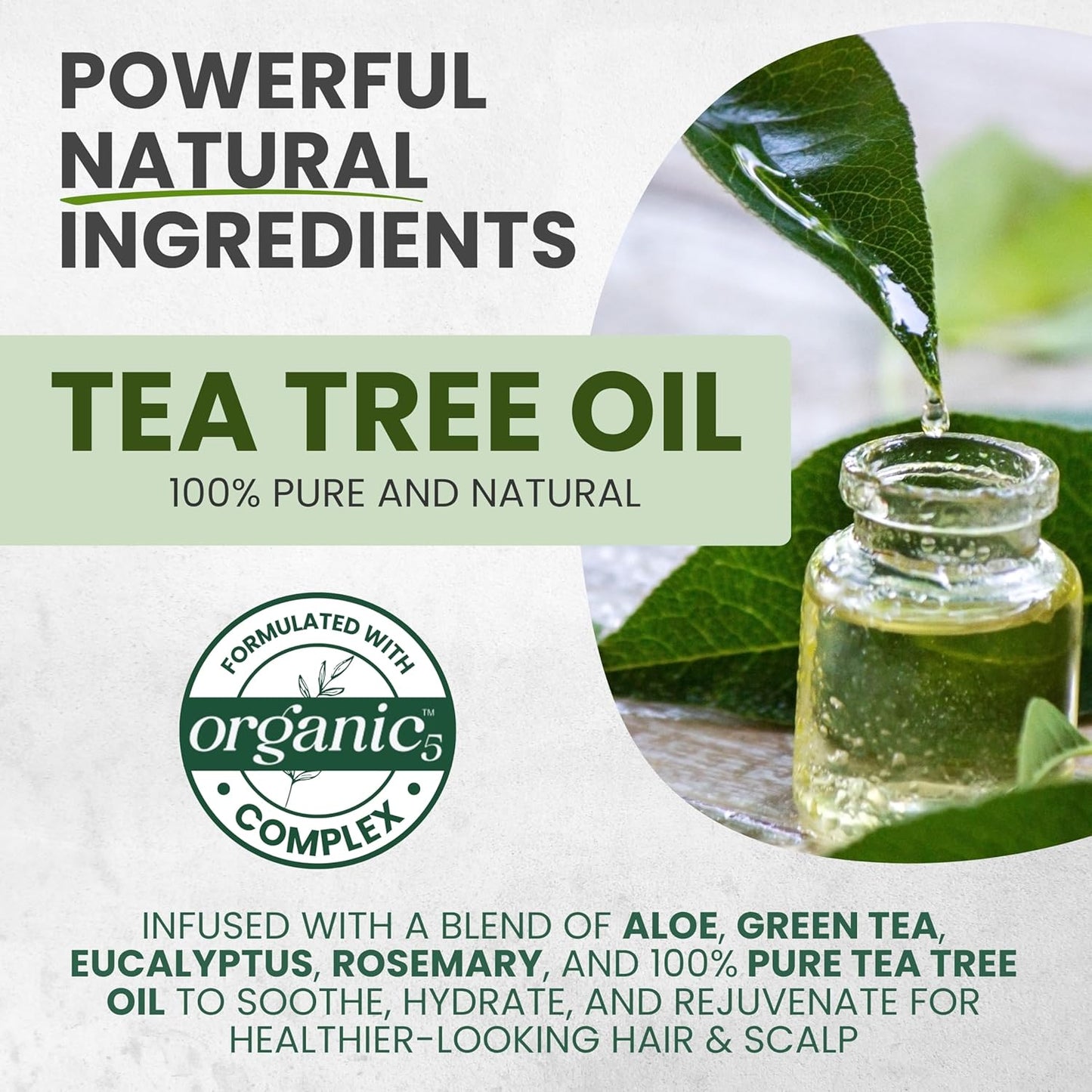 Aceite de árbol de té puro sin enjuague en espray desenredante, control del encrespamiento, tratamiento intensivo para el cuero cabelludo seco y con picazón, alivio contra la caspa y la