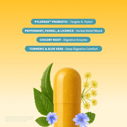 Suplementos para la salud intestinal, enzimas digestivas, prebiótic...