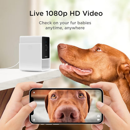 Petcube Cam | Cámara Wi-Fi interior para mascotas y de seguridad co...