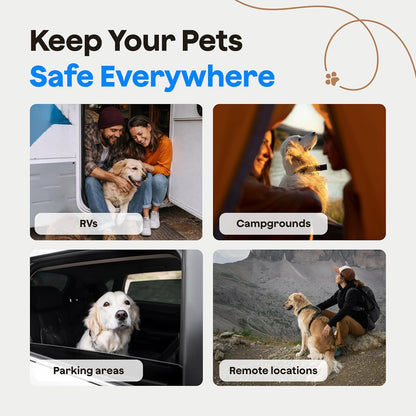 Waggle Monitor de temperatura para mascotas 4G (Lite) - No necesita...