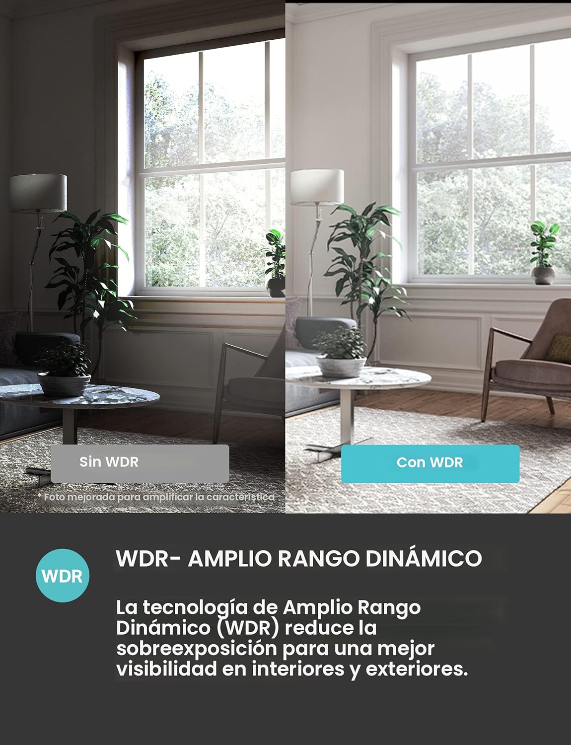 Kasa Smart - Cámara de seguridad interior Pan-Tilt para el hogar, c...