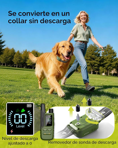 Collar de choque para 2 perros (10-120 libras) \u2013 Collar de ent...