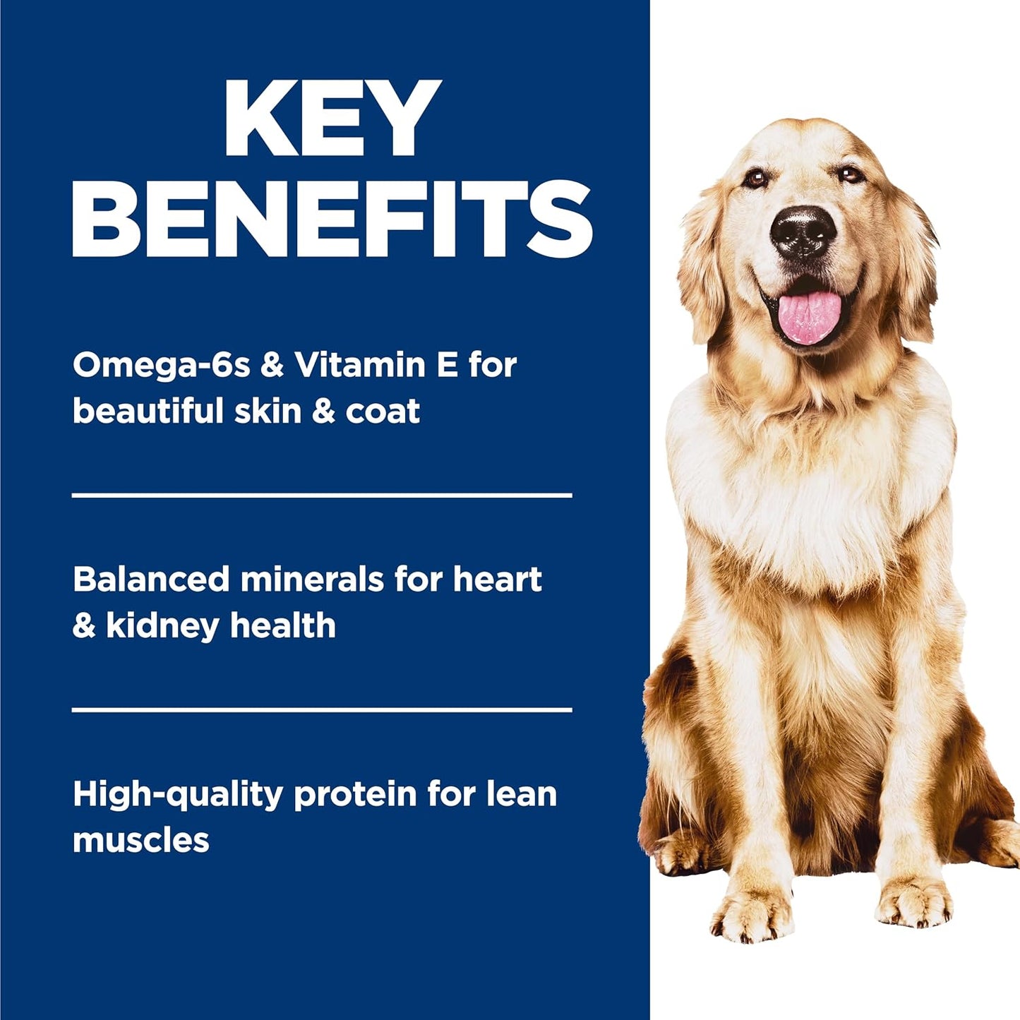 Hill's Science Diet - Alimento húmedo para perros adultos con p...