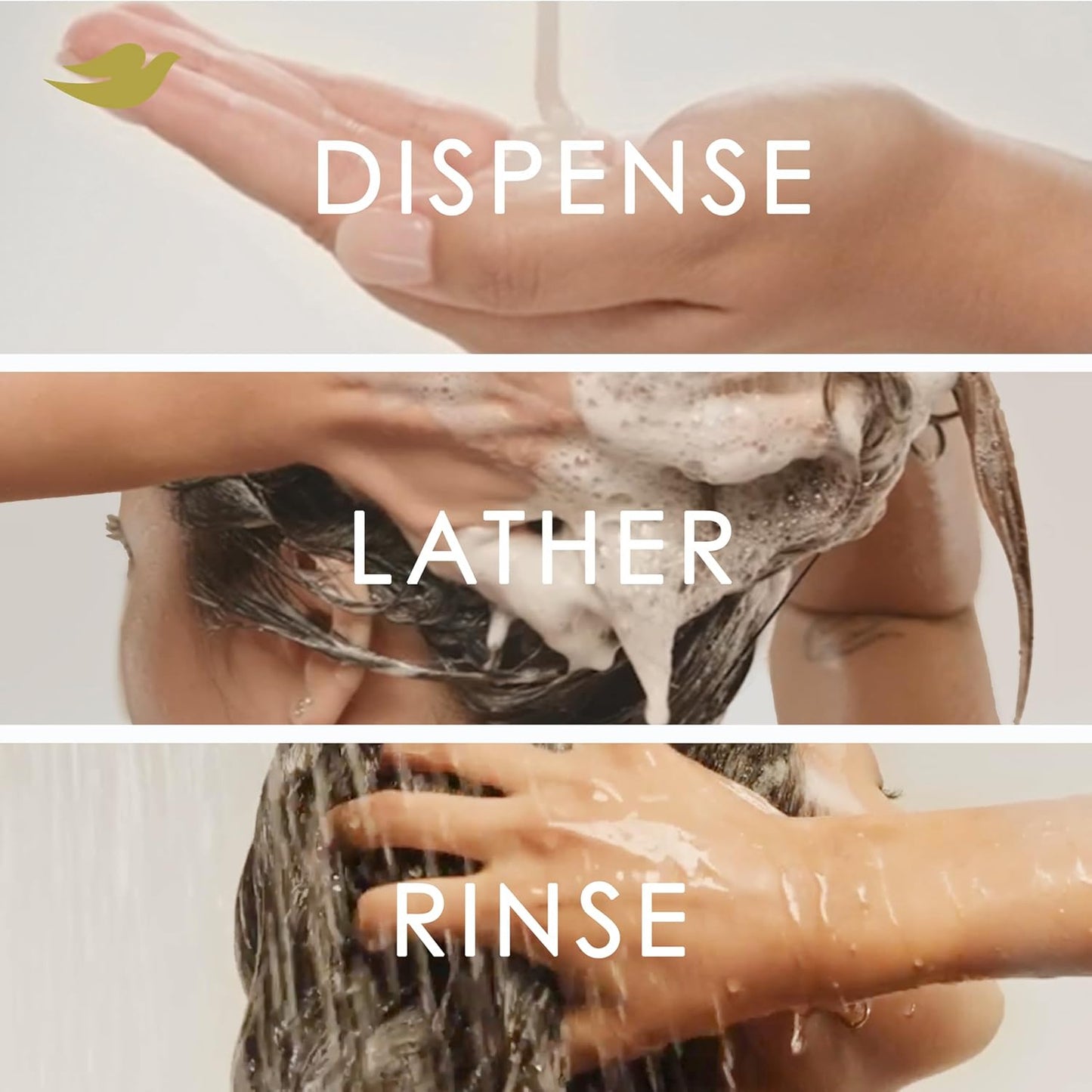 Dove Champú de coco e hidratación para cabello seco con tecnología de cuidado de bio-proteínas y aceite de coco, 28 onzas líquidas