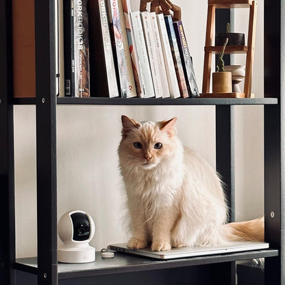 Kasa Smart Cámara de seguridad Kasa 2K QHD Pan\/Tilt, sensor Starli...