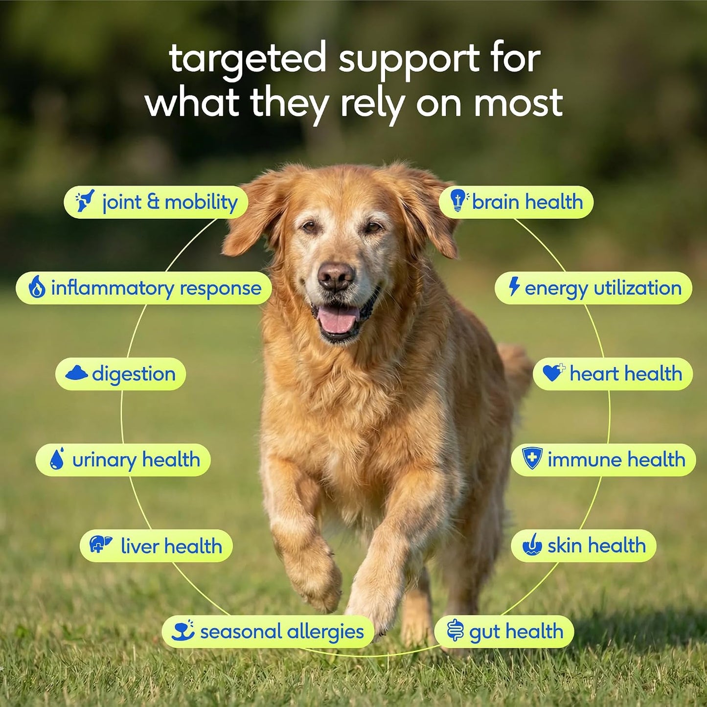Native Pet Vitaminas y suplementos diarios para perros mayores \u20...