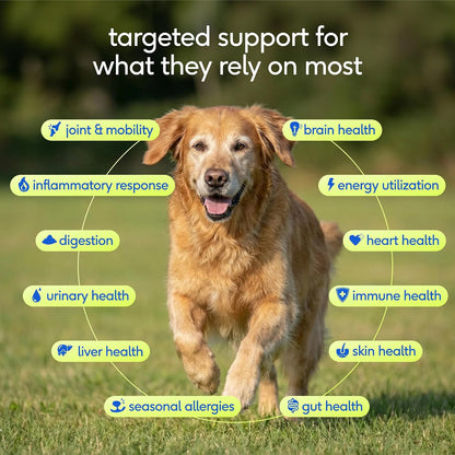 Native Pet Vitaminas y suplementos diarios para perros mayores \u20...
