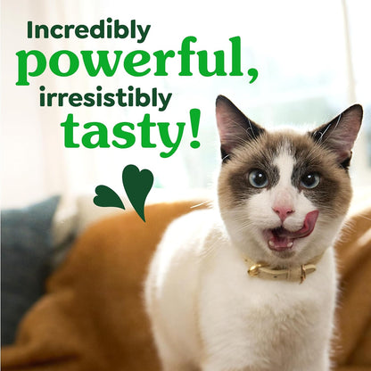 Greenies Golosinas dentales naturales para gatos adultos recomendad...
