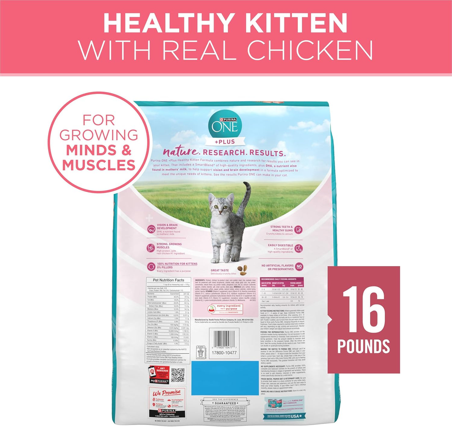 Purina ONE - Alimento seco natural para gatitos, alto contenido en...