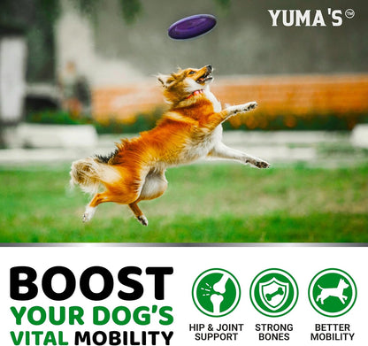 Glucosamina para perros - Suplemento para cadera y articulaciones p...