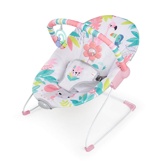 Bright Starts Baby Bouncer Soothing Vibrations Asiento Infantil - B...