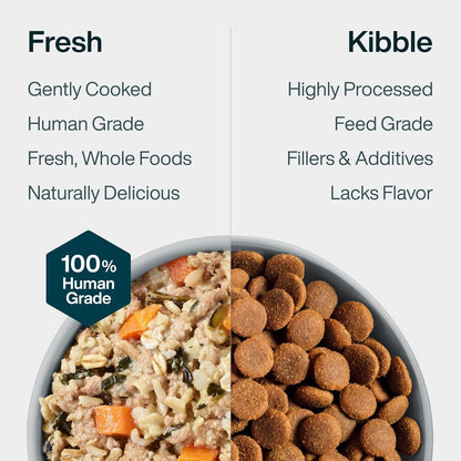 JustFoodForDogs JustFresh - Comida húmeda para perros, comidas fres...