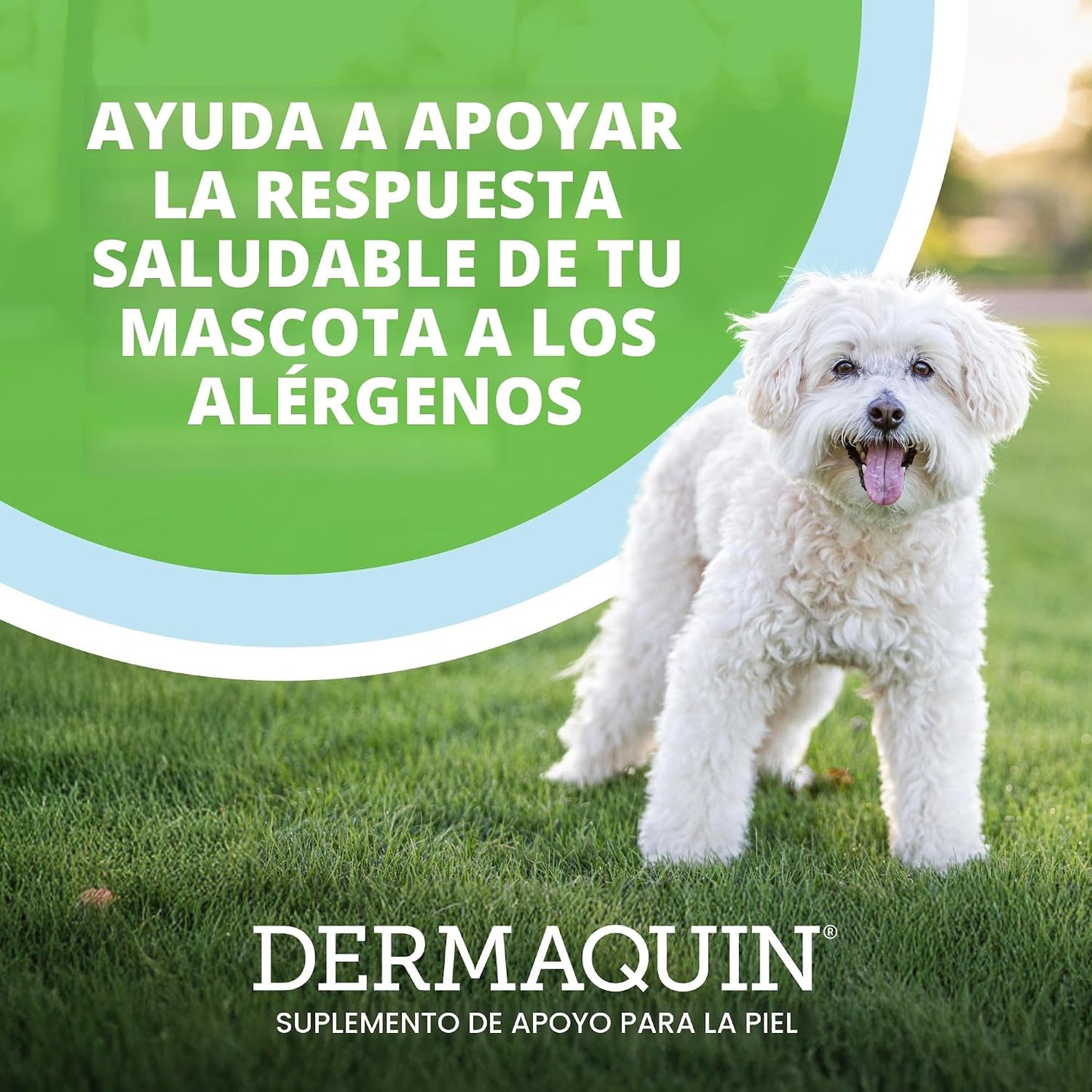 Nutramax Dermaquin Suplemento de Apoyo para la Piel para Perros y G...