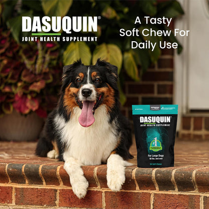 Nutramax Dasuquin para perros grandes, suplemento para la salud de...